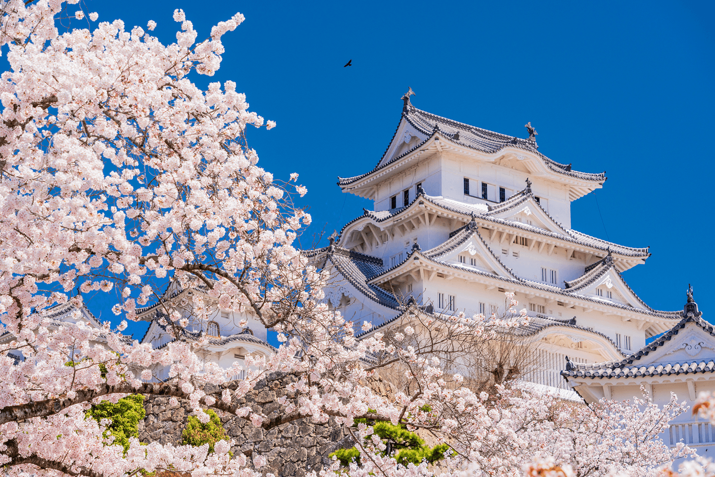 Tarifs et modalités de réservation des billets de Shinkansen entre Hakata et Himeji