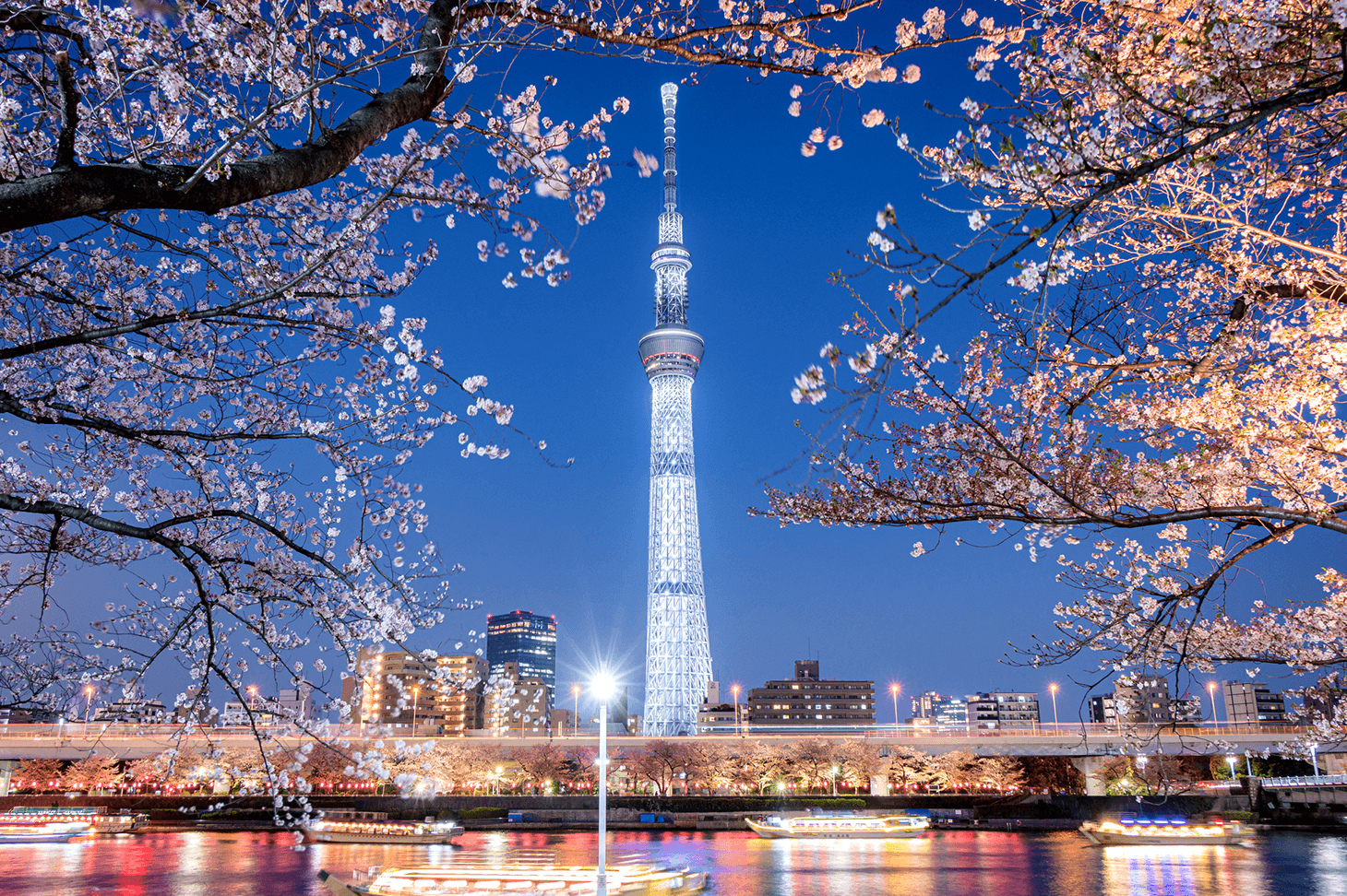 Tarifs et modalités de réservation du Shinkansen entre Hakodate et Tokyo