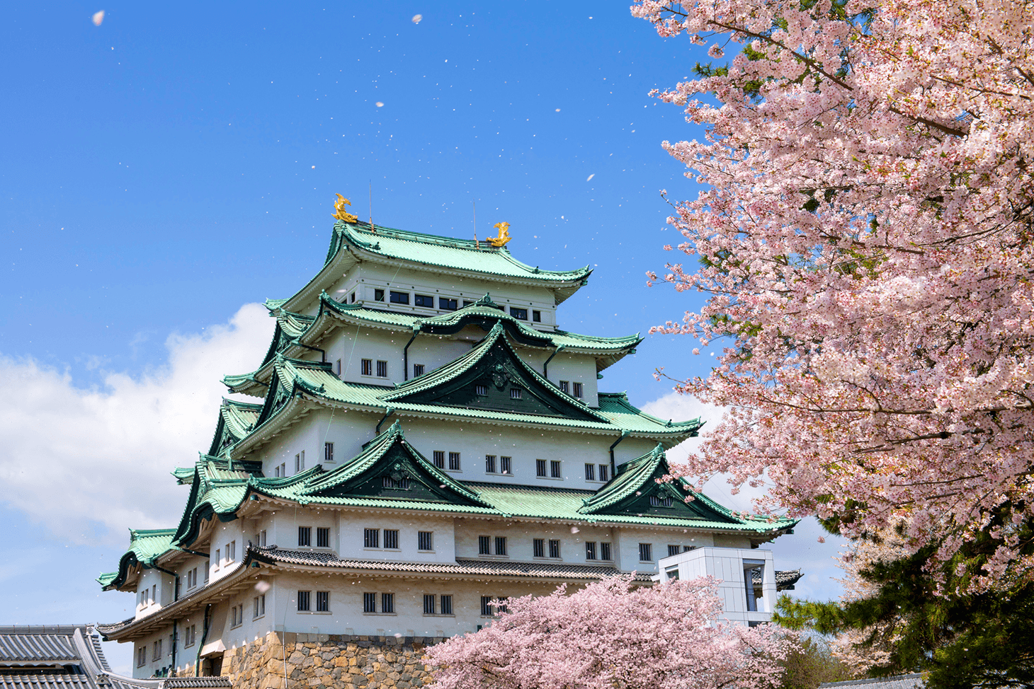 Tarifs et modalités de réservation des billets de Shinkansen entre Okayama et Nagoya