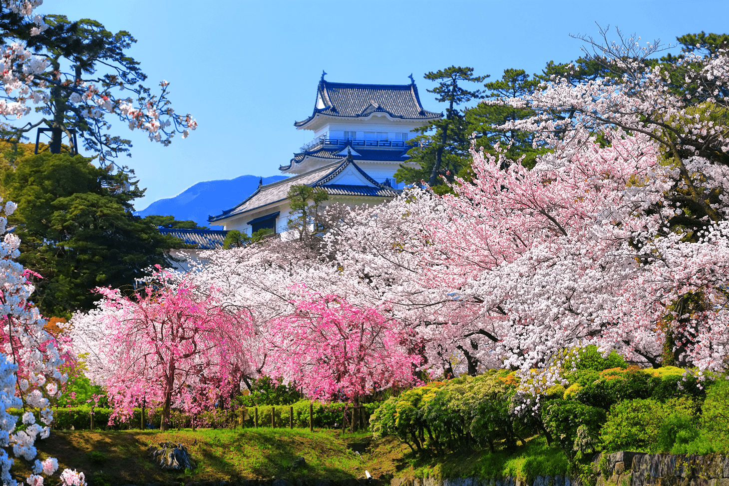 Tarifs et modalités de réservation des billets de Shinkansen entre Osaka et Odawara