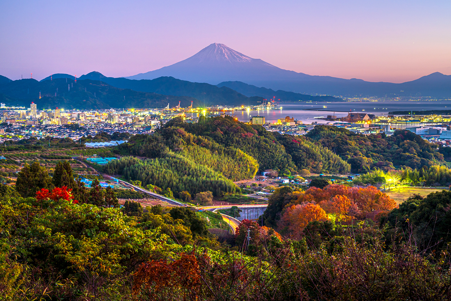 Tarifs et modalités de réservation des billets de Shinkansen entre Osaka et Shizuoka