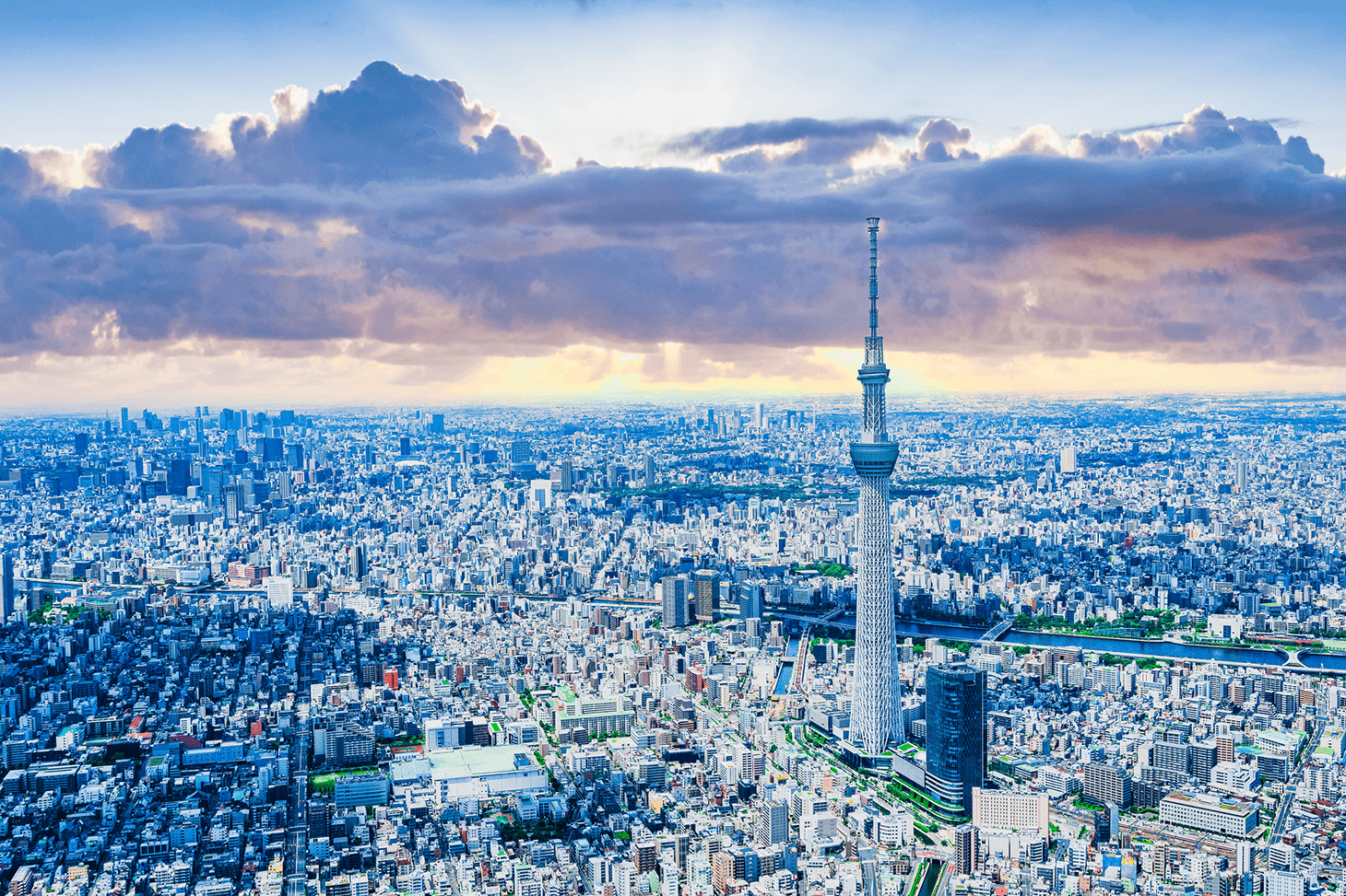 Tarifs et modalités de réservation du Shinkansen entre Shizuoka et Tokyo