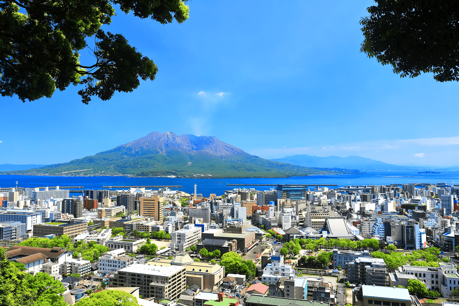 Tarifs et modalités de réservation des billets de Shinkansen entre Tokyo et Kagoshima-Chuo.