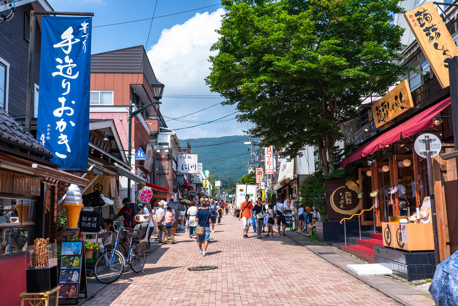 Shinkansen (bullet train) fares and ticket reservation methods from Tokyo to Karuizawa